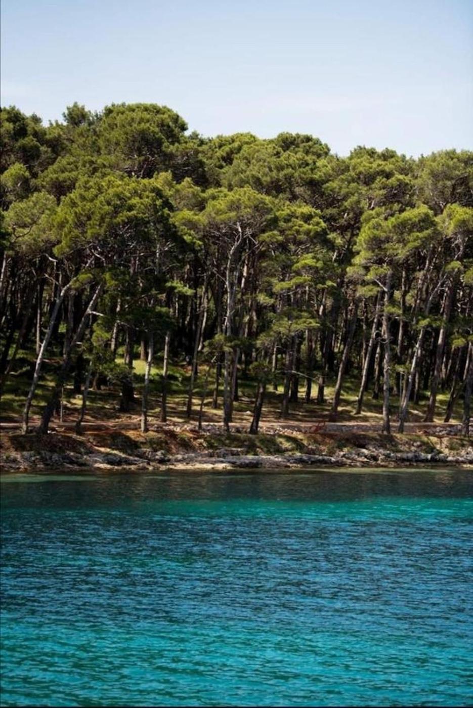 Apartments Mali Lošinj Eksteriør billede